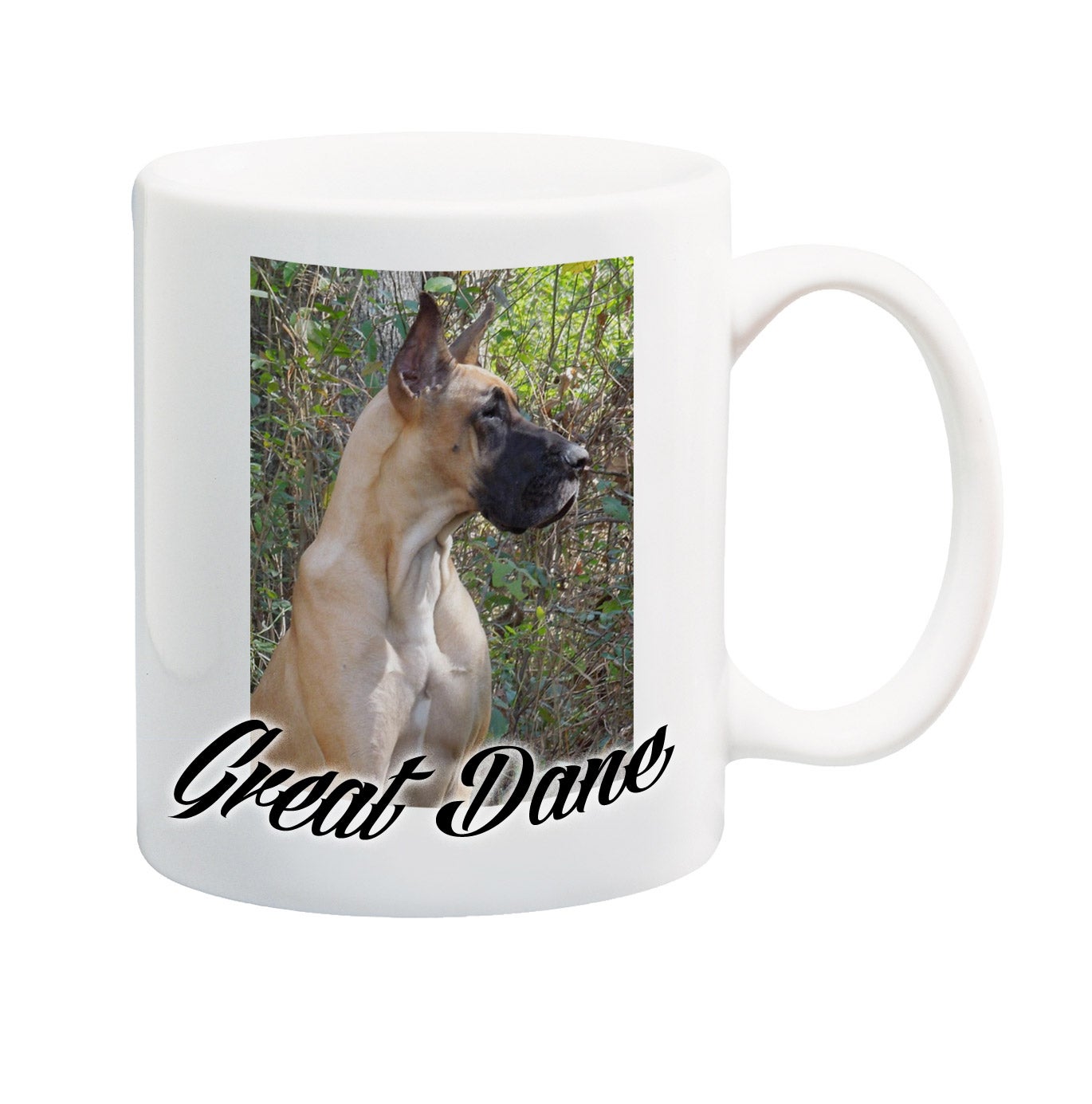 Great 2025 dane mugs